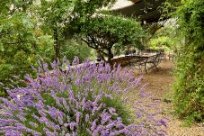 Maison à Cotignac - Le Collet : Maison confort et vue exceptionnelle sur Provence Verte