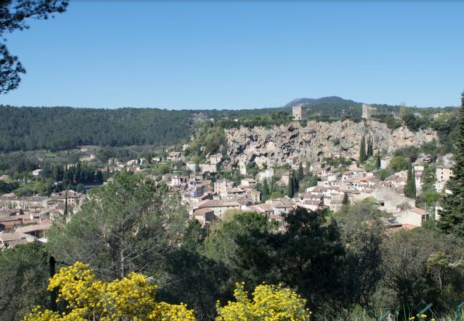 Maison à Cotignac - Les 2 Palmiers : 6 à 10 vacances détente en Provence
