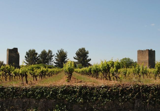 Maison à Cotignac - Les 2 Palmiers : 6 à 10 vacances détente en Provence