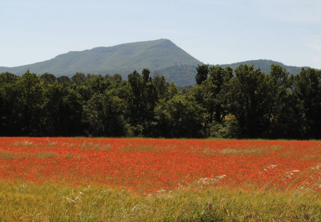 Maison à Cotignac - Les 2 Palmiers : 6 à 10 vacances détente en Provence