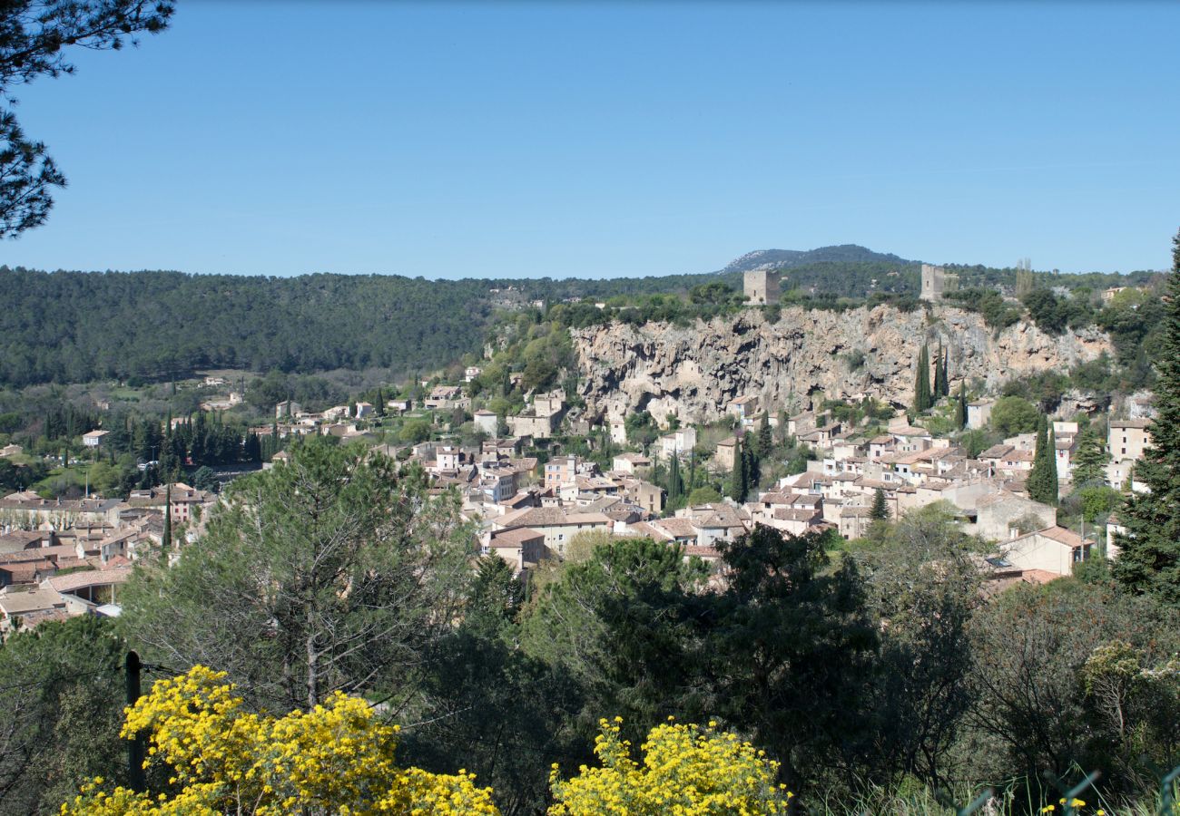 Maison à Cotignac - Les 2 Palmiers : 6 à 10 vacances détente en Provence Maison à Cotignac - Les 2 Palmiers : 6 à 10 vacances détente en Provence