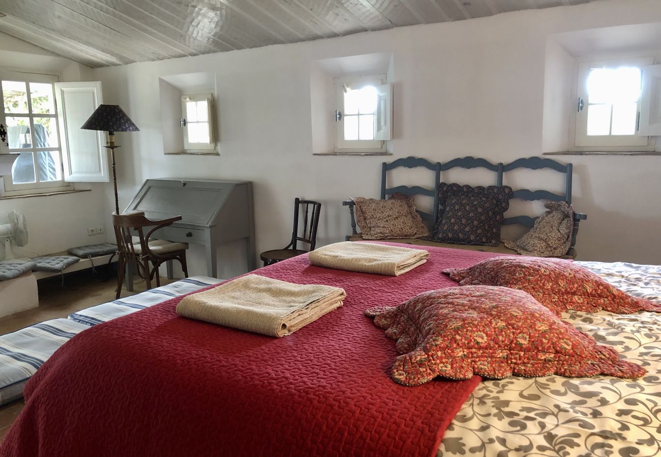 Maison à Cotignac - Les 2 Palmiers : 6 à 10 vacances détente en Provence Maison à Cotignac - Les 2 Palmiers : 6 à 10 vacances détente en Provence