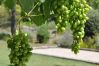 Maison à Cotignac - Les 2 Palmiers : 6 à 10 vacances détente en Provence