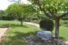 Maison à Cotignac - Les 2 Palmiers : 6 à 10 vacances détente en Provence