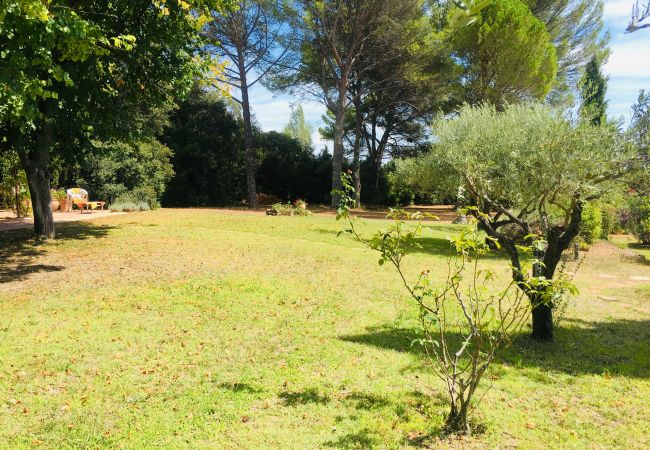 Maison à Cotignac - La Ralaye : tranquillité à proximité des commerces et restaurants Maison à Cotignac - La Ralaye : tranquillité à proximité des commerces et restaurants