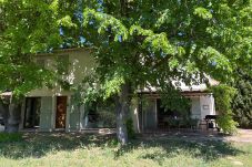 Maison à Cotignac - La Ralaye : tranquillité à proximité des commerces et restaurants
