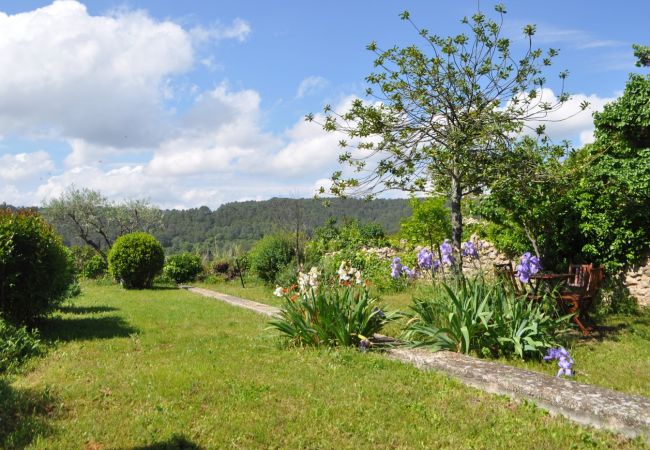 Maison à Cotignac - La Belle Etoile : calme et sérénité au coeur d'une Provence Nature
