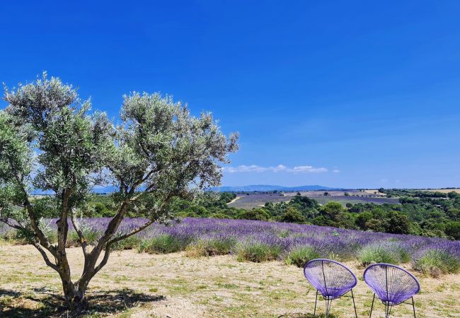 Maison à Cotignac - La Belle Etoile : terrasse et jardin privé avec vue exceptionnelle Maison à Cotignac - La Belle Etoile : terrasse et jardin privé avec vue exceptionnelle