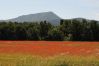 Maison à Cotignac - La Belle Etoile : location saisonnière en Provence Nature