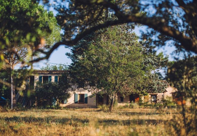 Maison à Cotignac - Mas du Périgoulier : vacances en famille au coeur d'une Provence authentique