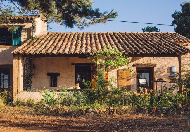 Maison à Cotignac - Mas du Périgoulier : vacances en famille au coeur d'une Provence authentique