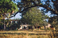 Maison à Cotignac - Mas du Périgoulier : vacances en famille au coeur d'une Provence authentique