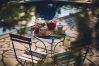 Maison à Cotignac - Mas du Périgoulier : vacances en famille au coeur d'une Provence authentique