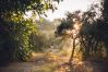 Maison à Cotignac - Mas du Périgoulier : vacances en famille au coeur d'une Provence authentique