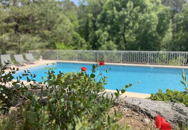 Maison à Cotignac - Campagne la Rivière, ambiance bucolique pour 4 à 6 personnes, piscine privée, wifi